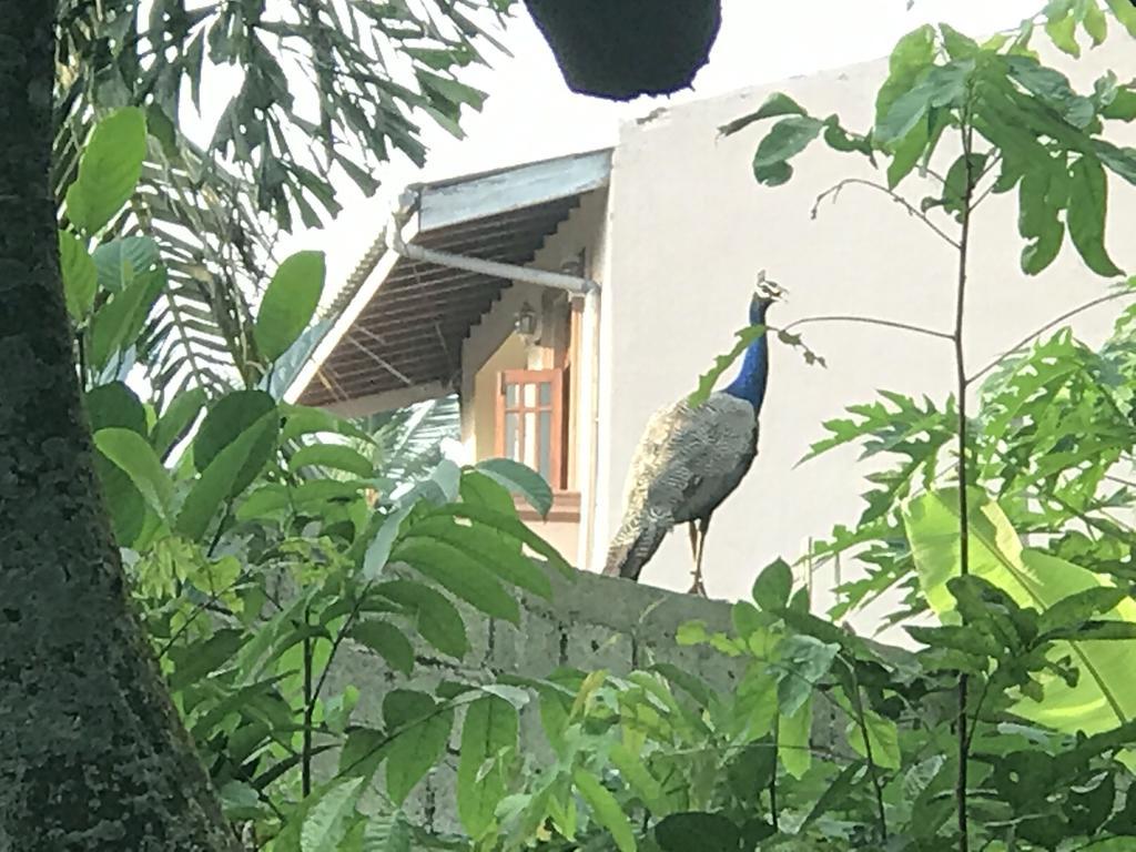 Mount nature villa Hikkaduwa Camera foto