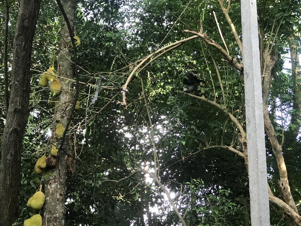 Mount nature villa Hikkaduwa Camera foto